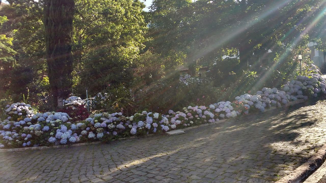 Caparao Parque Hotel Caparaó Velho エクステリア 写真